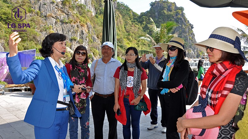 Học hết cấp 3 nên học nghề gì? Hướng dẫn viên