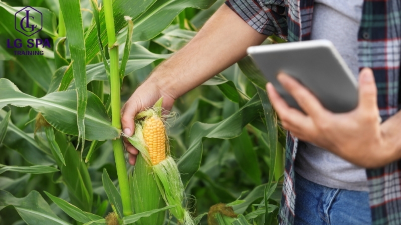 25 tuổi học kỹ sư nông nghiệp