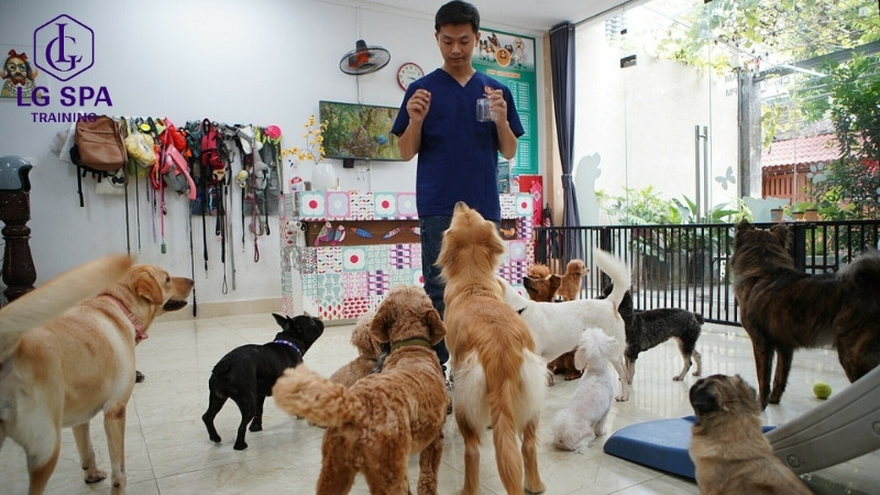 32 tuổi làm nghề chăm sóc thú cưng