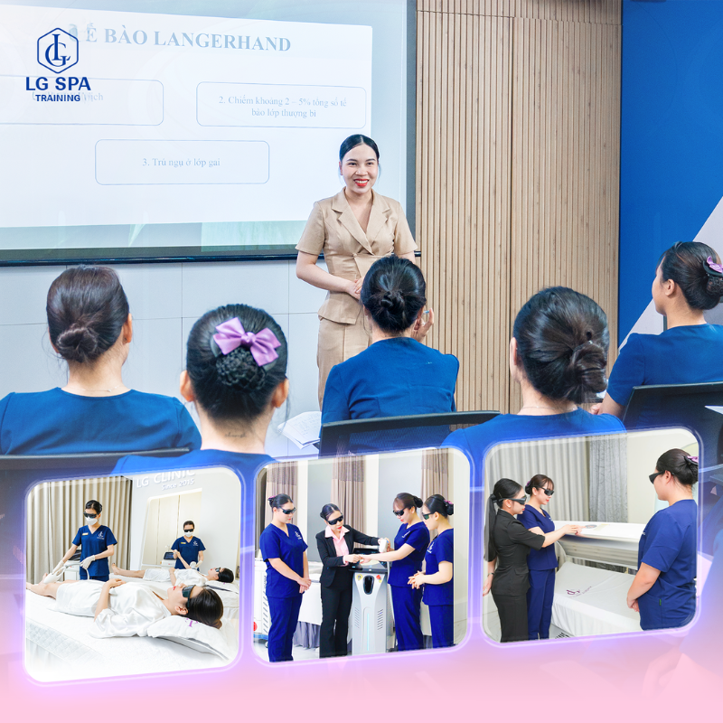khóa học quản lý spa tại lg spa training center