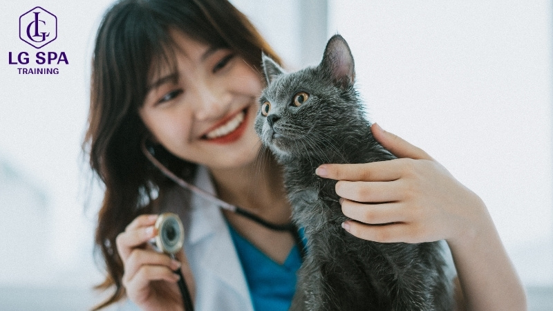 làm bác sĩ thú y tuổi 22