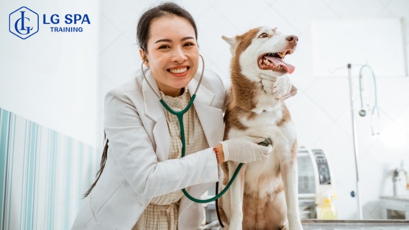 Nên học nghề gì bây giờ? Nghề chăm sóc thú cưng