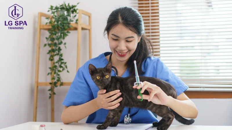 nghề chăm sóc thú cưng cho nữ không bằng cấp