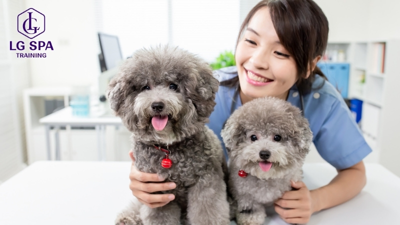 Những công việc ổn định không cần bằng cấp​? Học nghề chăm sóc thú cưng