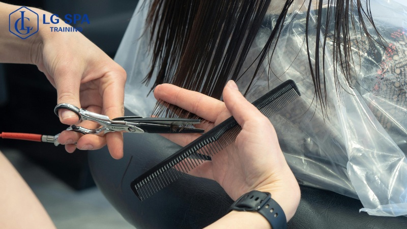 nghề làm tóc cho người có bằng cấp 2