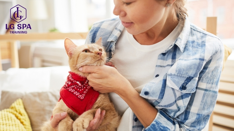 người trầm tính làm nghề chăm sóc thú cưng