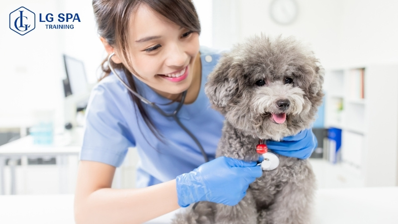 nữ 30 tuổi làm nghề chăm sóc thú cưng